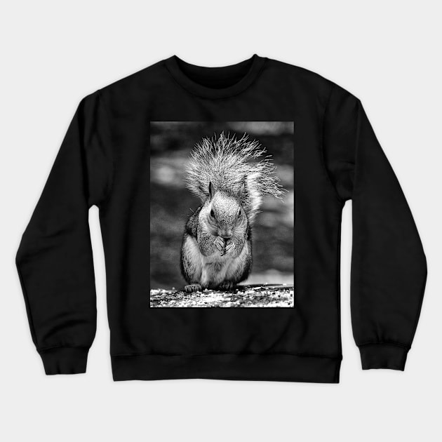 What a tasty nut Crewneck Sweatshirt by GeoffCarpenter